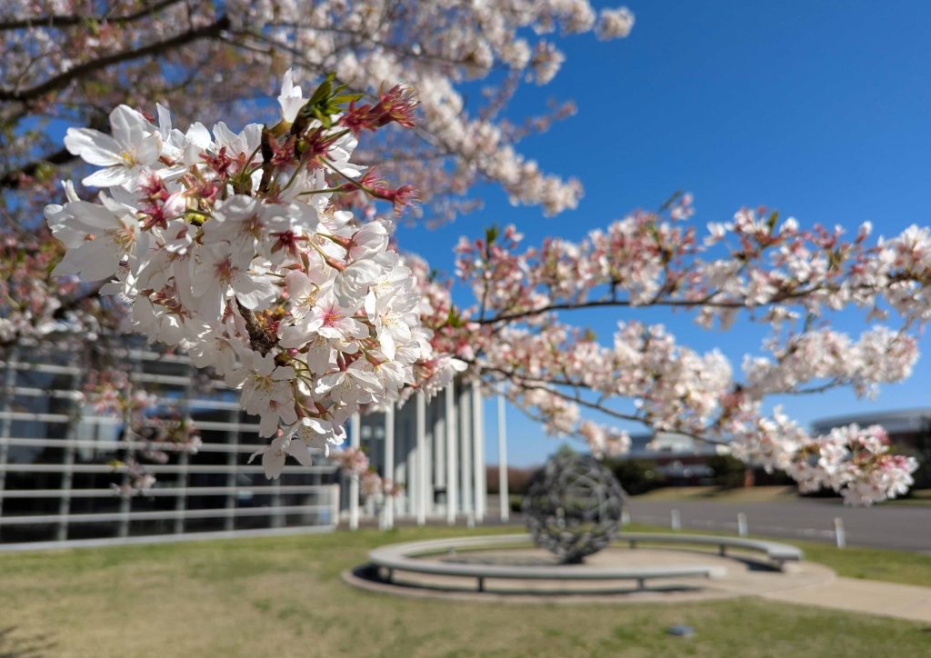 令和８年度　新任教員着任のお知らせ